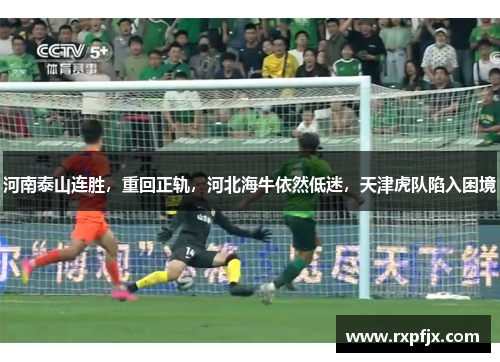 河南泰山连胜，重回正轨，河北海牛依然低迷，天津虎队陷入困境